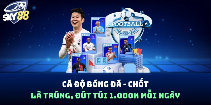 cá độ bóng đá