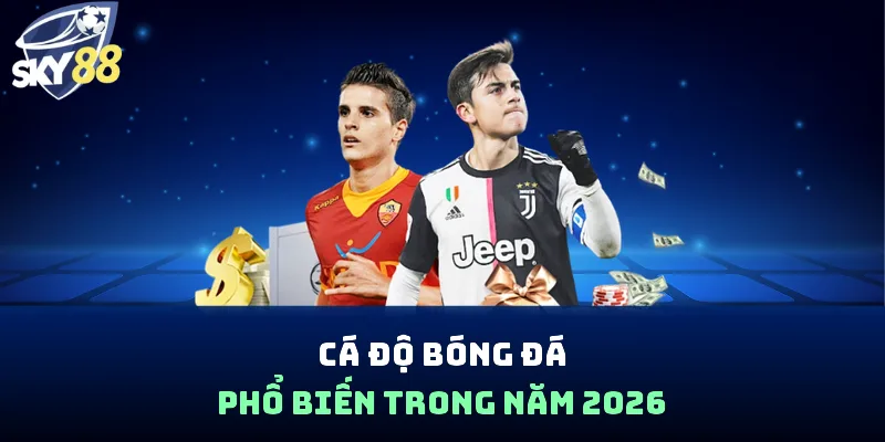 Cá độ bóng đá phổ biến trong năm 2026