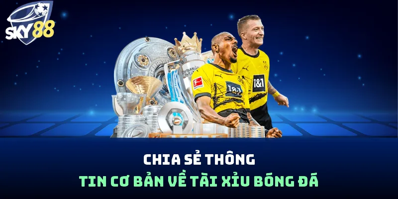 Chia sẻ thông tin cơ bản về Tài Xỉu bóng đá