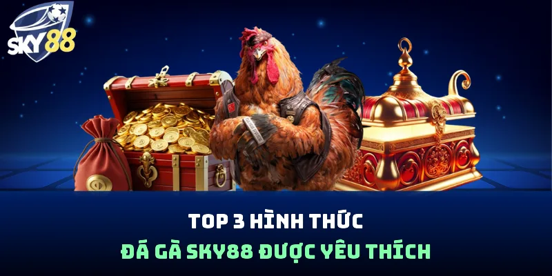Top 3 hình thức đá gà SKY88 được yêu thích
