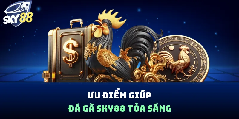 Ưu điểm giúp đá gà SKY88 tỏa sáng